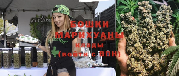 стаф Арсеньев