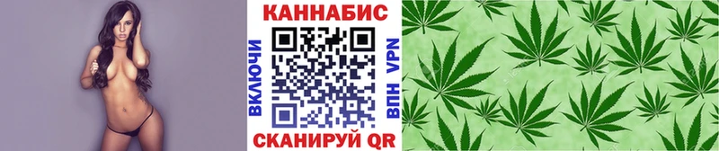 где купить наркоту  Голицыно  Конопля ГИДРОПОН 